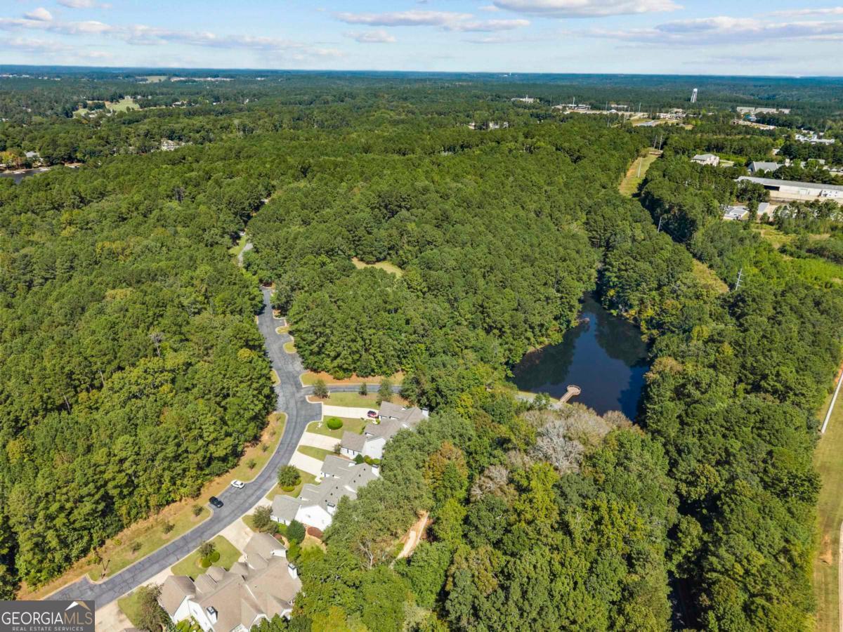 1540 Vintage Club Road Greensboro, GA 30642 - Photo 9 of 71