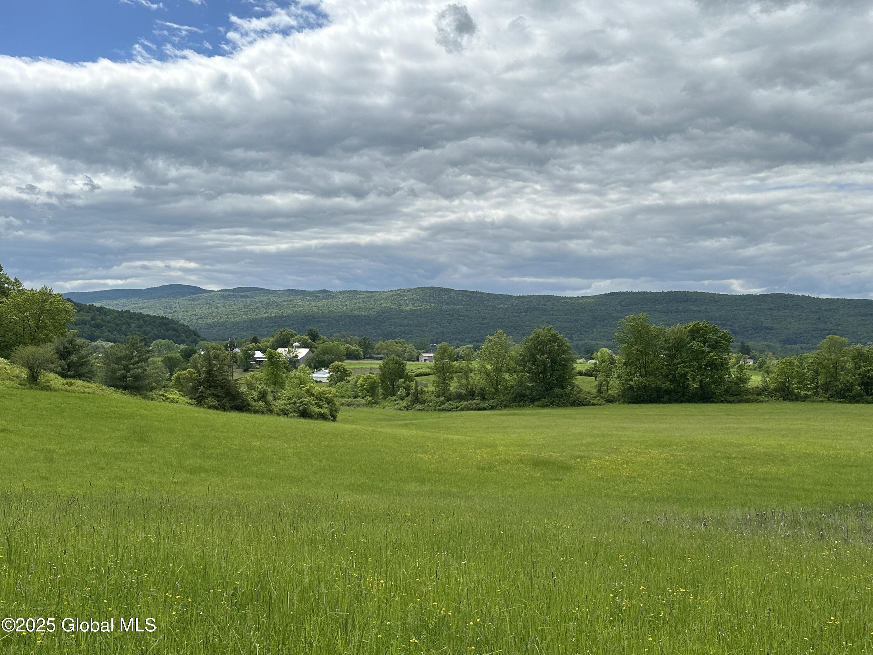 2368 County Rte 12 Whitehall, NY 12887 - Photo 24 of 25 IMG_0367