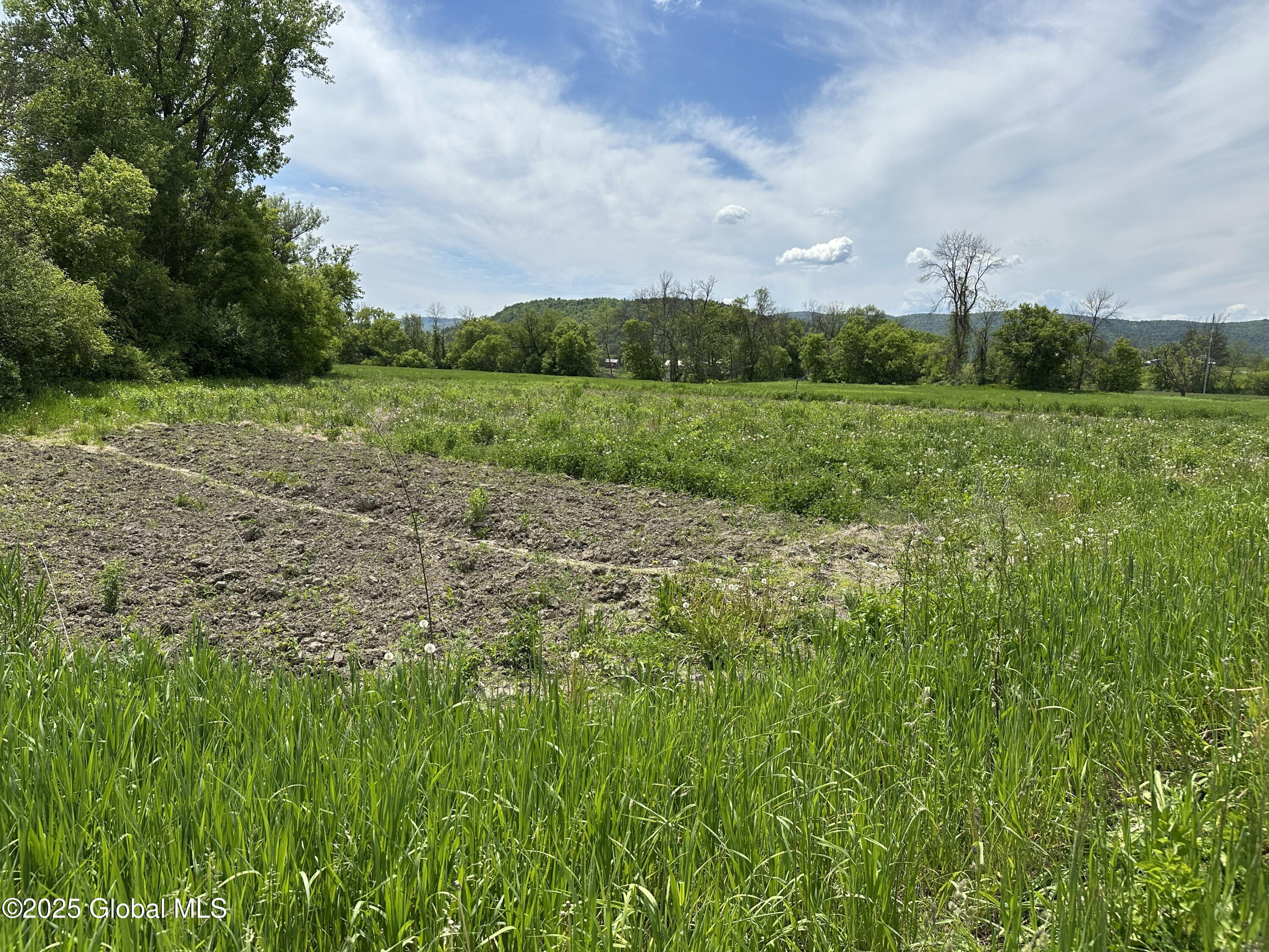 2368 County Rte 12 Whitehall, NY 12887 - Photo 5 of 25 IMG_0277