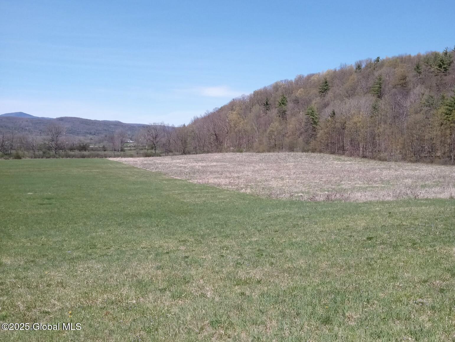 2368 County Rte 12 Whitehall, NY 12887 - Photo 7 of 25 2999693024204158228