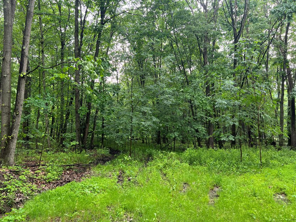 241 Aires Hill Road Franklin, PA 16323 - Photo 1 of 1
