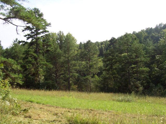 1 Walkers Branch Road McKee, KY 40447 - Photo 1 of 1 Photo 1
