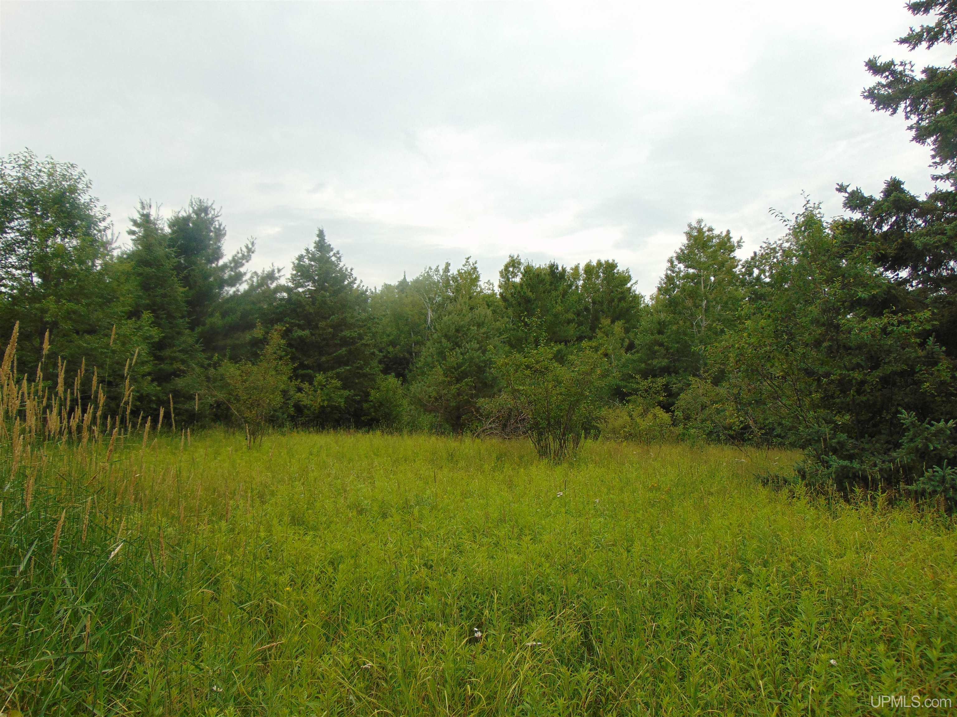 15 Grenlund Road Bruce Crossing, MI 49912 - Photo 7 of 18