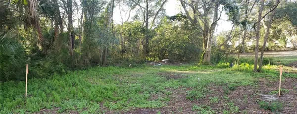$15,000 | Undisclosed Address, Apopka, FL 32703