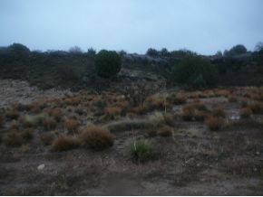 0 Dozer Way Rimrock, AZ 86335 - Photo 2 of 2 a view of a field