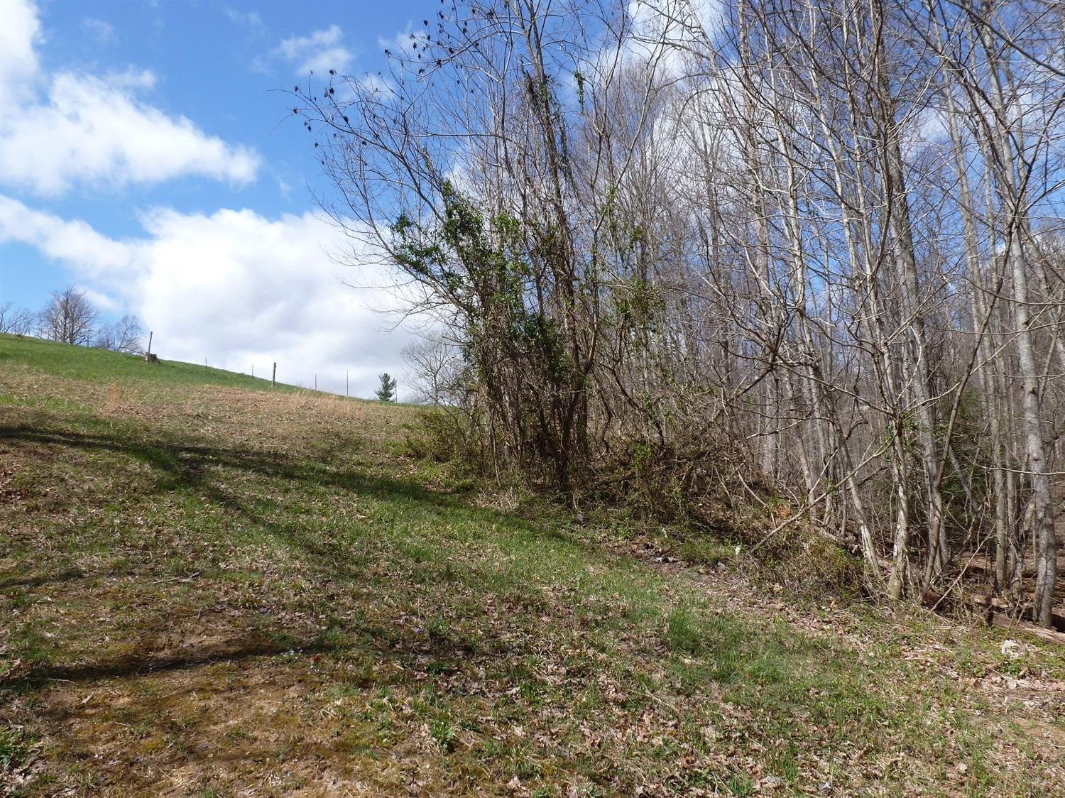 3821 Amos Ridge Road Frenchburg, KY 40322 - Photo 35 of 88 Photo 35