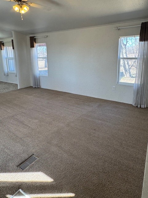 8501 East State Highway 29 Georgetown, TX 78626 - Photo 13 of 24