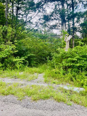 a backyard of a house with a yard and large trees