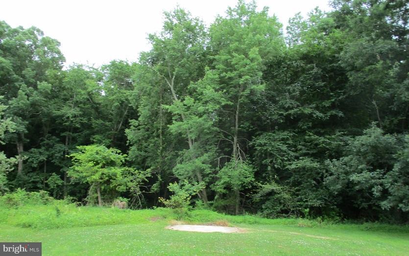 968 Warburton Road Elkton, MD 21921 - Photo 2 of 10 View