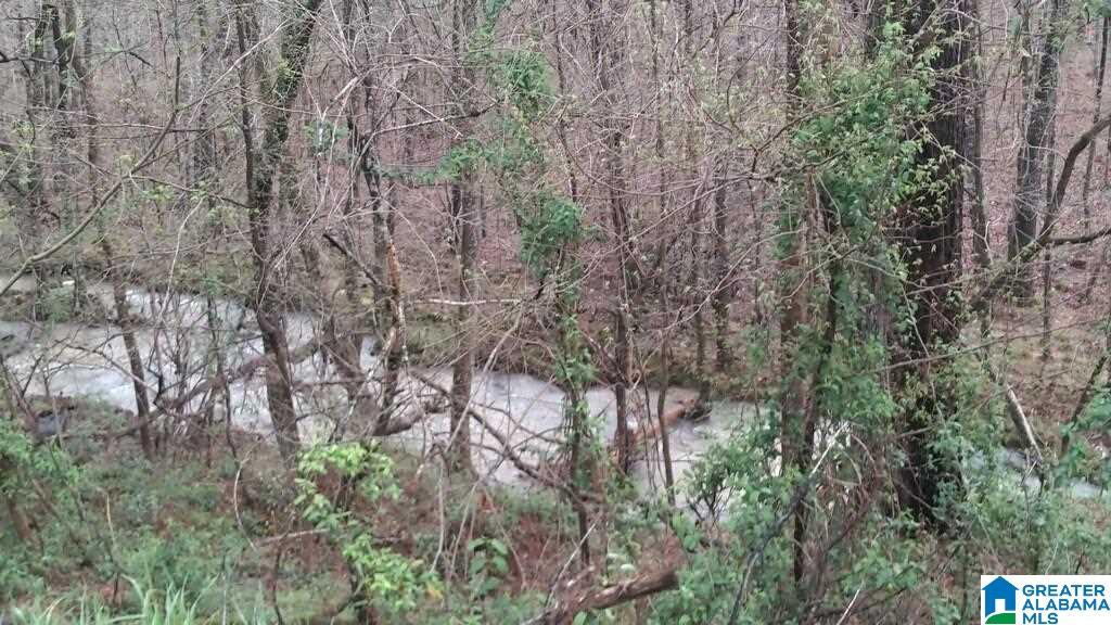 0 Shady Grove Road, Unit 12 ACRES Boaz, AL 35956 - Photo 1 of 1