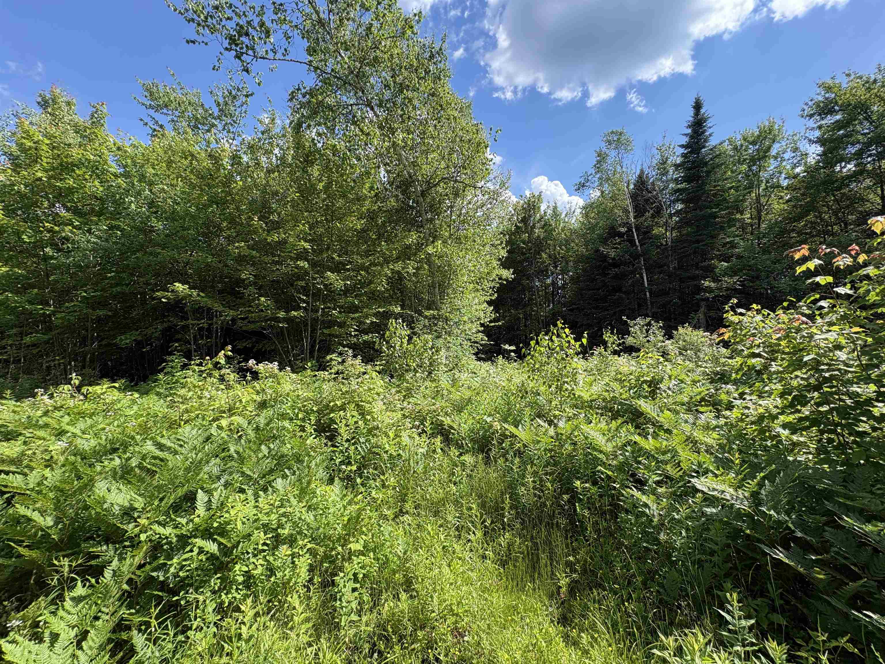208 Drake Pl Road Sheffield, VT 05866 - Photo 10 of 43