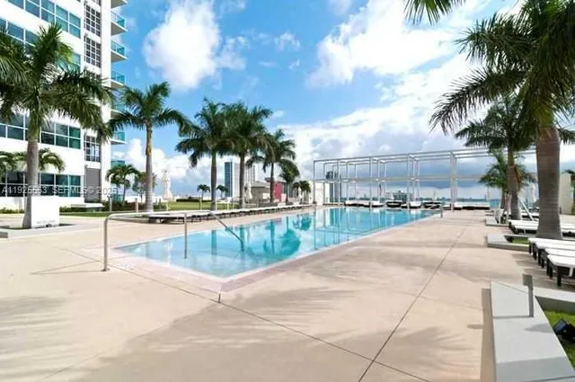 a view of swimming pool with palm trees