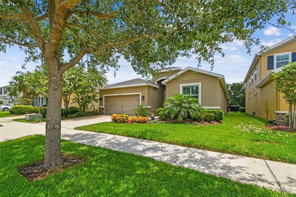 6467 Seasound Drive Apollo Beach, FL 33572 - Photo 4 of 81 a front view of a house with a garden and trees