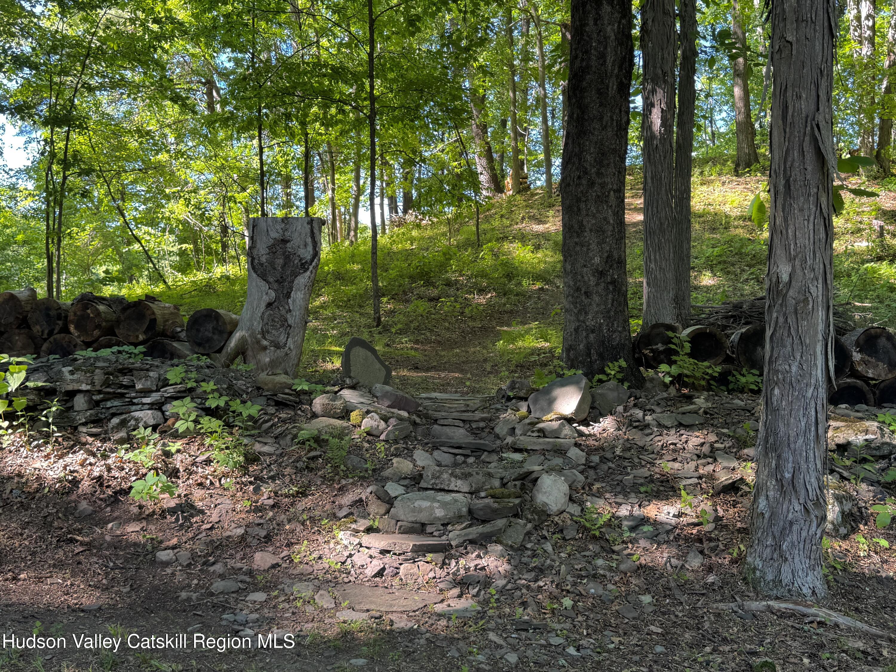 177 Webber Road Earlton, NY 12058 - Photo 14 of 50 a backyard of a house with lots of green space