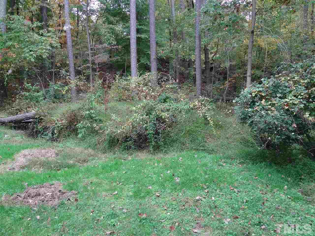 5276 Fairmead Circle Raleigh, NC 27613 - Photo 24 of 25 a view of outdoor space and green space