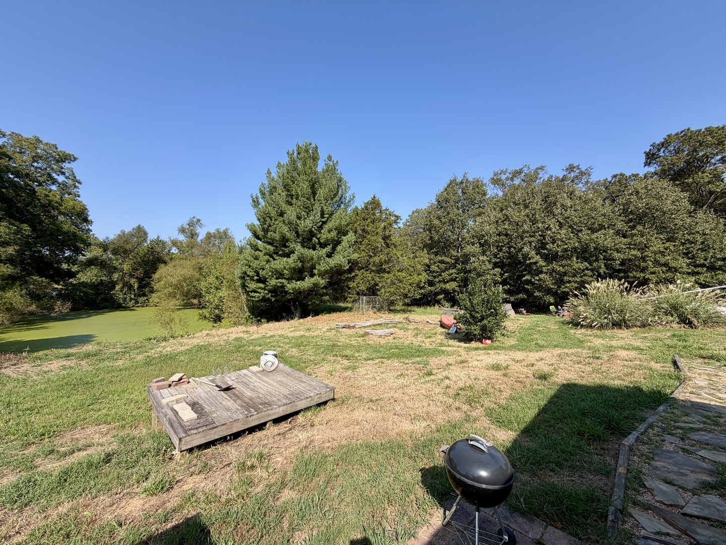 1925 Murphy Road Creal Springs, IL 62922 - Photo 45 of 45 Gallery Image 45