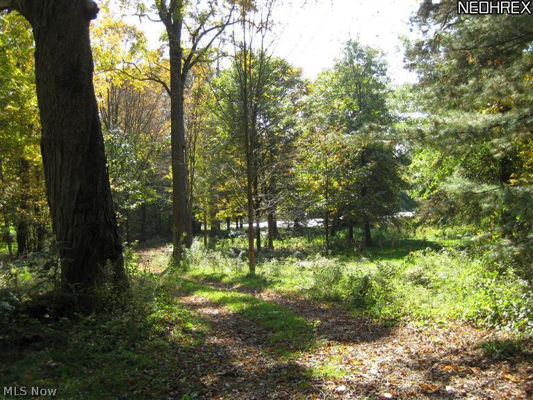 272 Hatch Road Wadsworth, OH 44281 - Photo 14 of 16