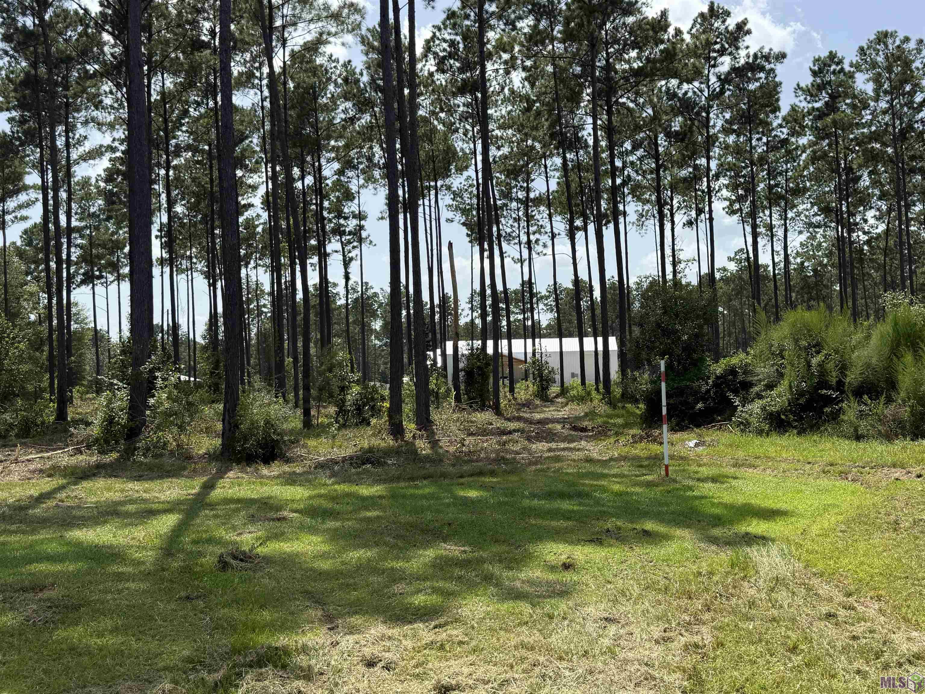 14936 Pace Road Clinton, LA 70722 - Photo 6 of 7 Gallery Image 6
