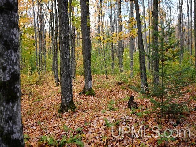 5800 Wolf Lake Road Watersmeet, MI 49969 - Photo 66 of 86