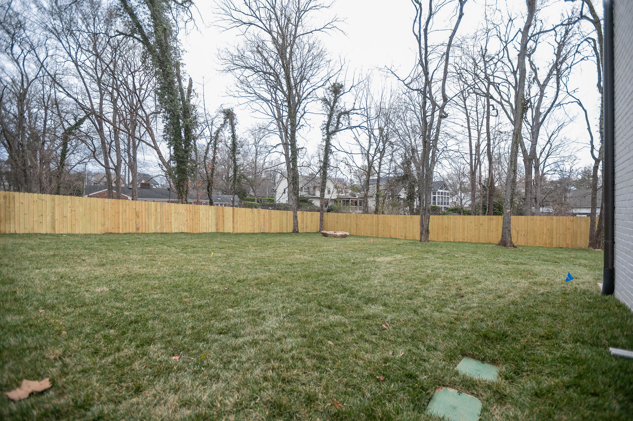 4101 Sneed Road Nashville, TN 37215 - Photo 61 of 63 a view of yard with trees in a park