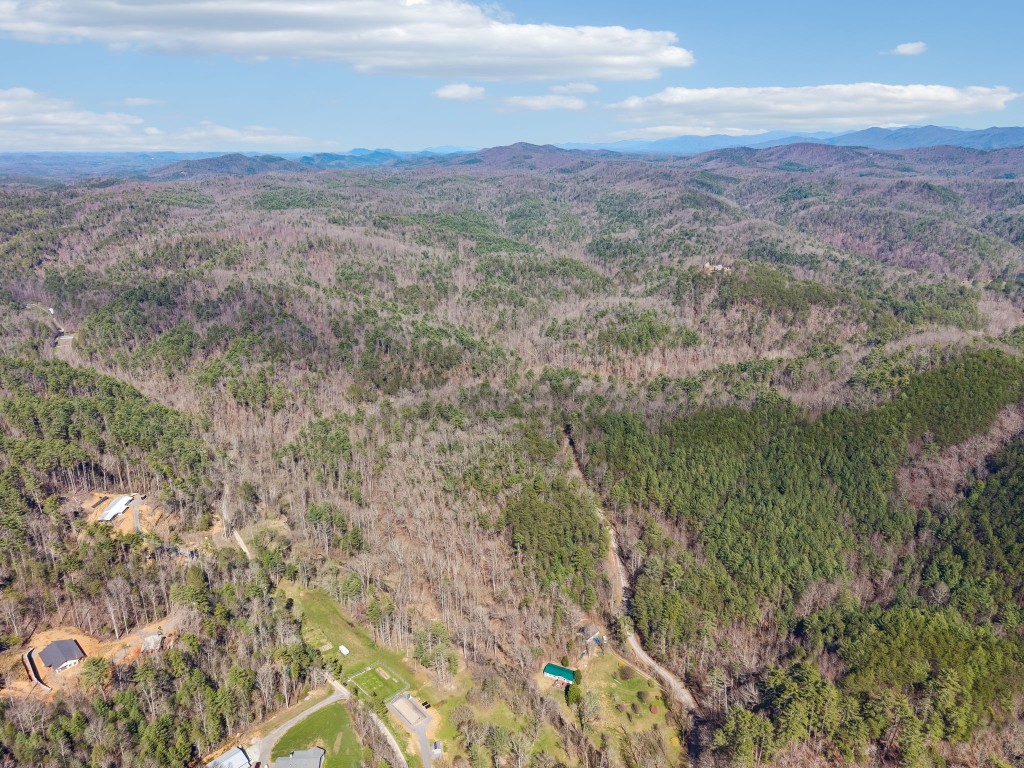1489 Towee Pike Reliance, TN 37369 - Photo 1 of 17 a view of a city with lush green forest
