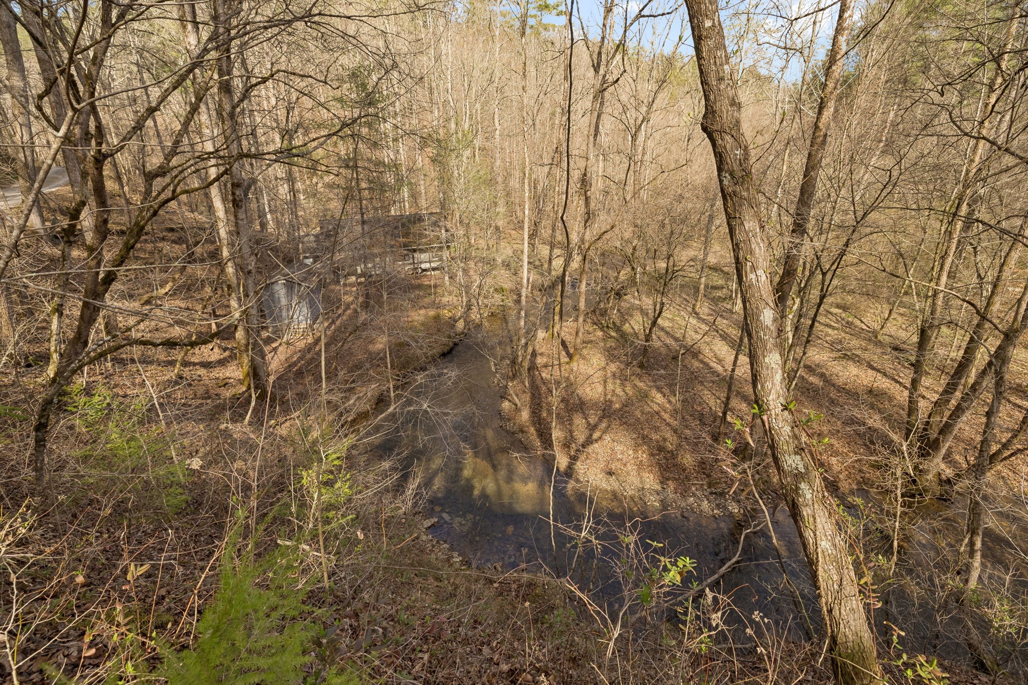 1489 Towee Pike Reliance, TN 37369 - Photo 11 of 17 a view of a yard