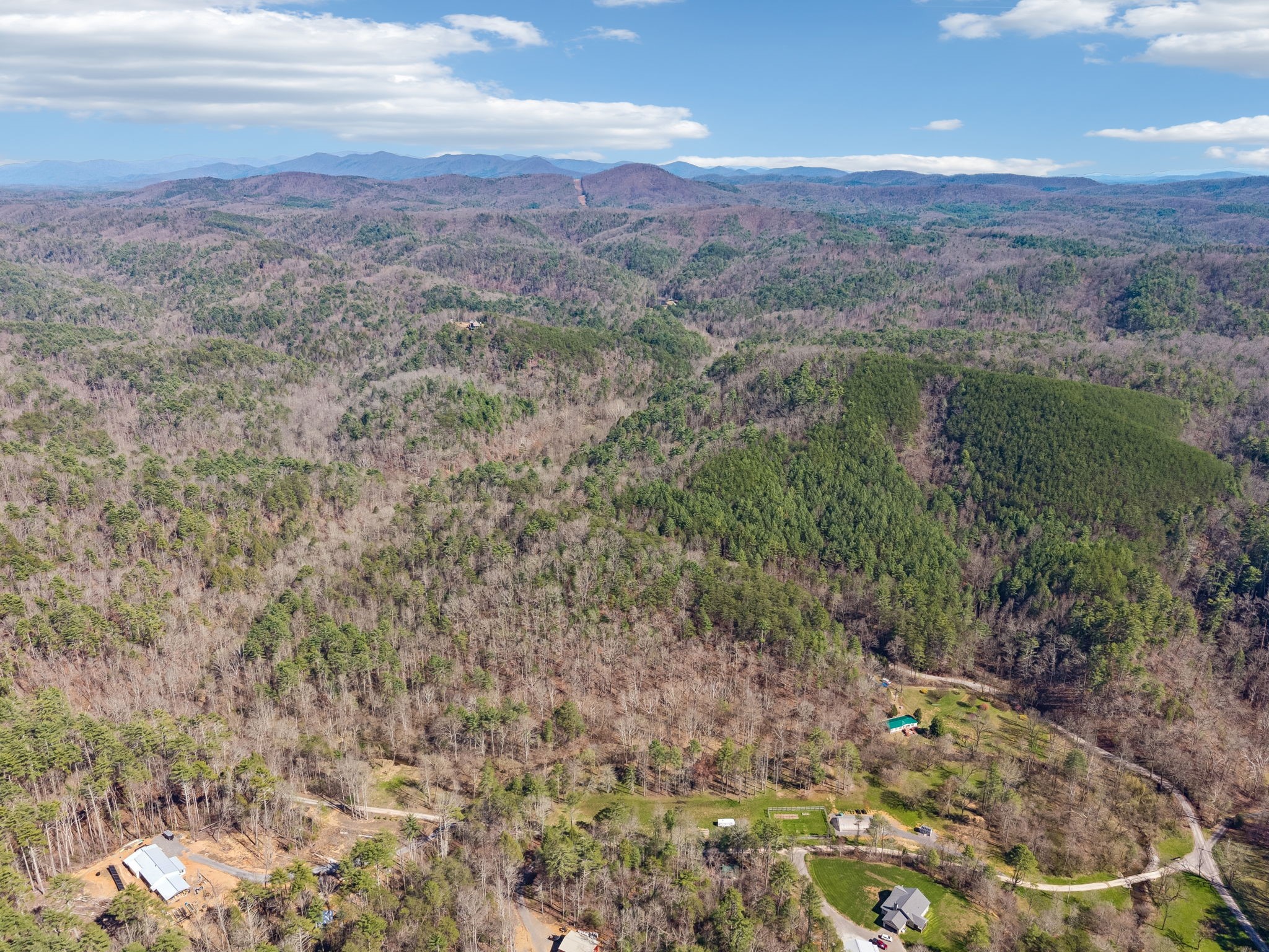 1489 Towee Pike Reliance, TN 37369 - Photo 12 of 17 a view of a city with lush green forest