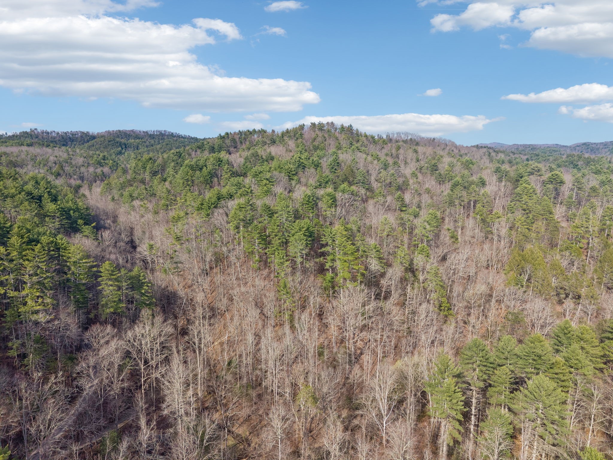 1489 Towee Pike Reliance, TN 37369 - Photo 14 of 17 a view of a bunch of trees and houses