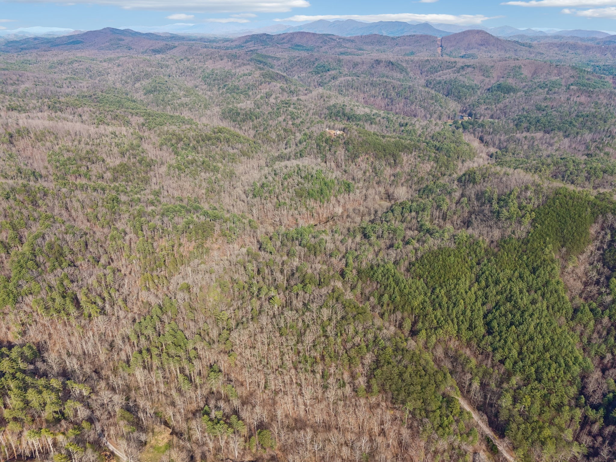 1489 Towee Pike Reliance, TN 37369 - Photo 15 of 17 a view of a lush green field