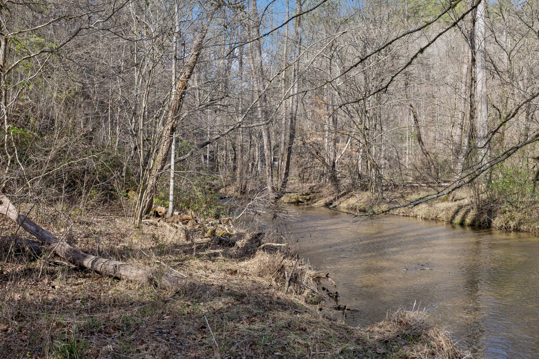 1489 Towee Pike Reliance, TN 37369 - Photo 4 of 17 a view of empty field with large trees