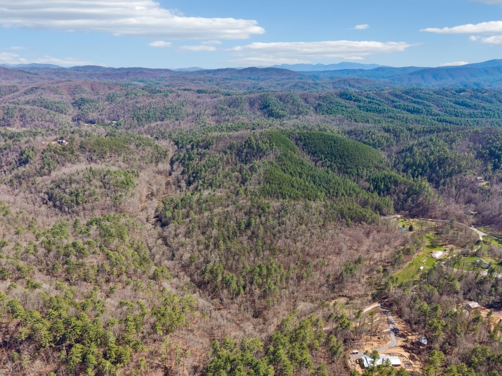 1489 Towee Pike Reliance, TN 37369 - Photo 7 of 17 a view of a field with a mountain in the background