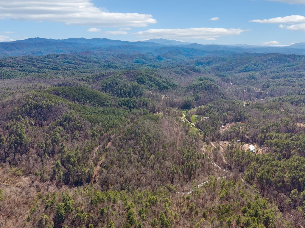 1489 Towee Pike Reliance, TN 37369 - Photo 8 of 17 a view of a field