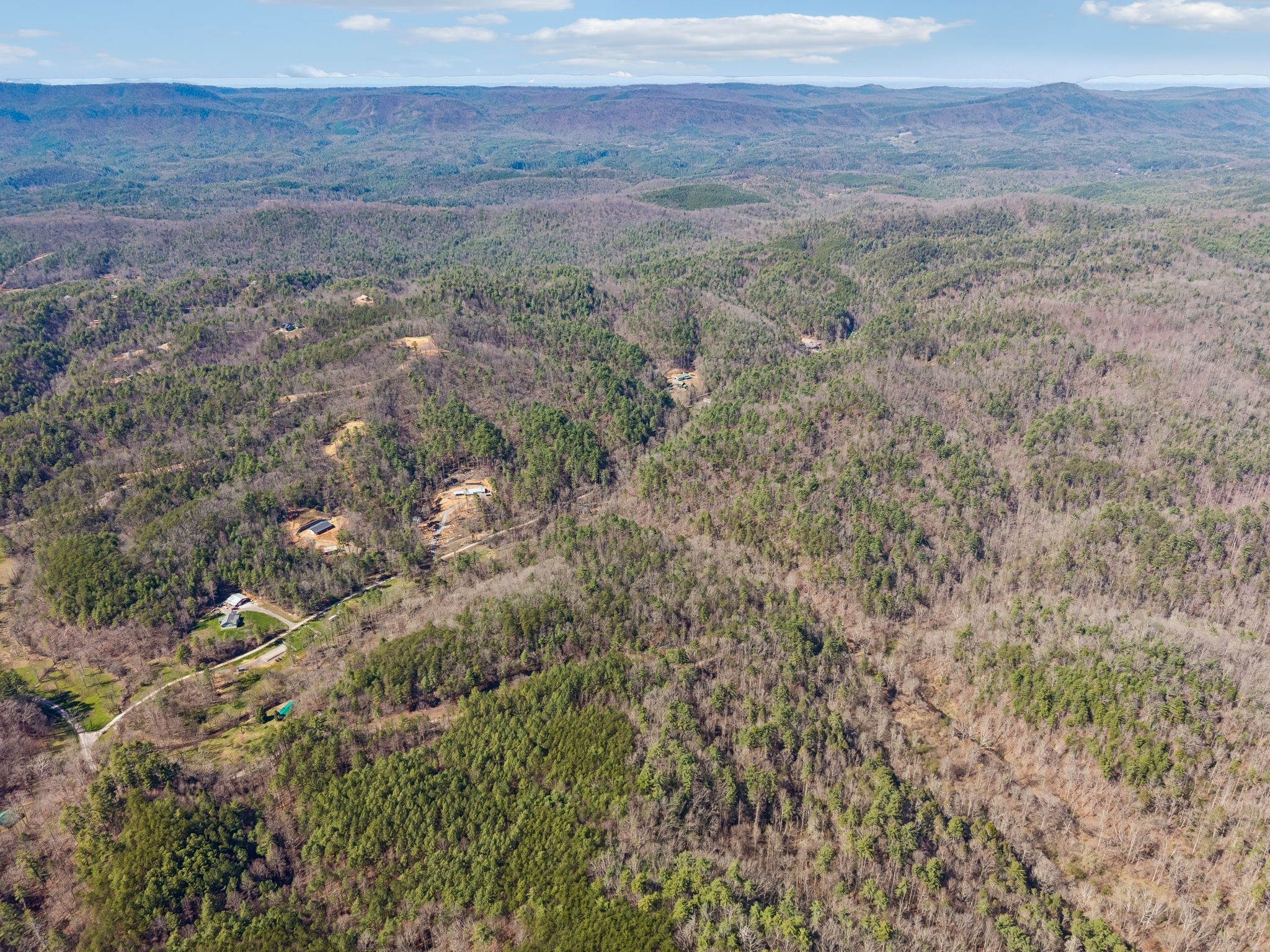 1489 Towee Pike Reliance, TN 37369 - Photo 10 of 17 a view of a field