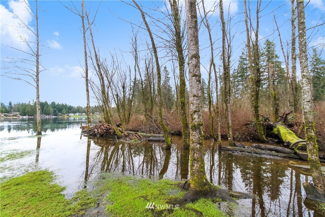 17248 Southeast Petrovitsky Road Renton, WA 98058 - Photo 1 of 25 Gallery Image 1