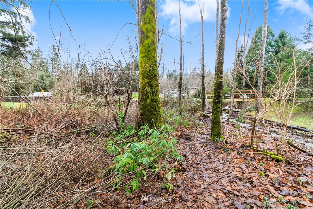 17248 Southeast Petrovitsky Road Renton, WA 98058 - Photo 13 of 25 Gallery Image 13