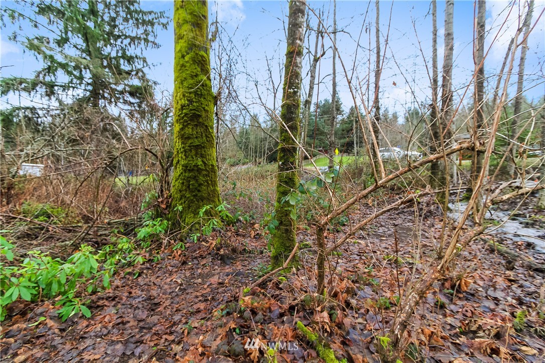 17248 Southeast Petrovitsky Road Renton, WA 98058 - Photo 5 of 25 Gallery Image 5