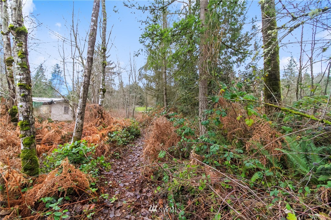 17248 Southeast Petrovitsky Road Renton, WA 98058 - Photo 7 of 25 Gallery Image 7