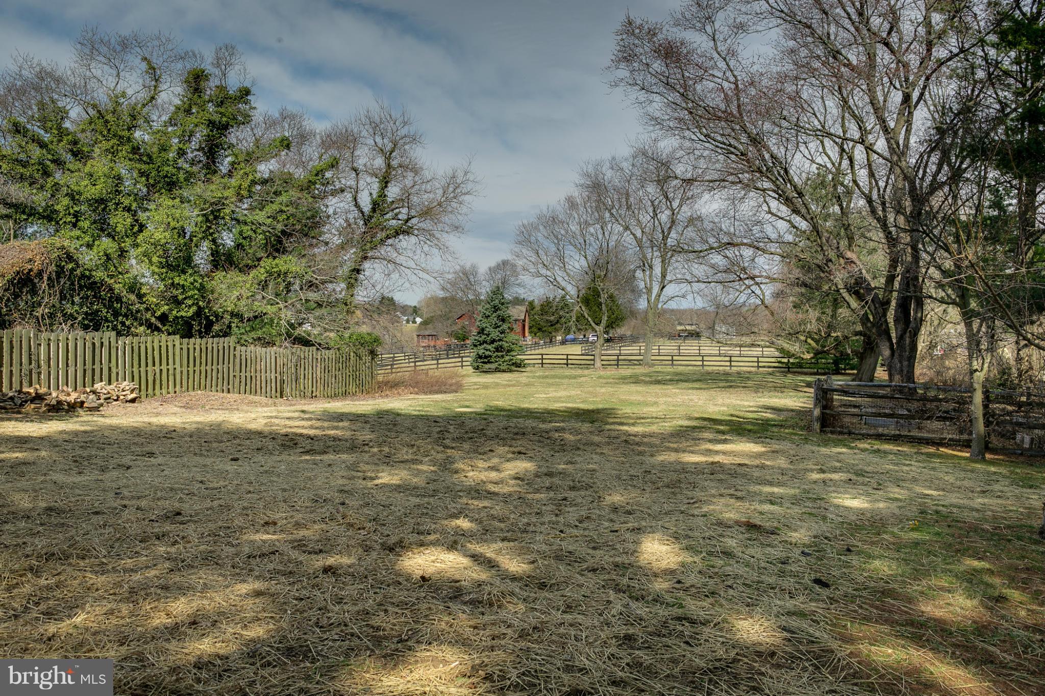 5324 Sweet Air Road Baldwin, MD 21013 - Photo 29 of 30 a view of a yard with a tree