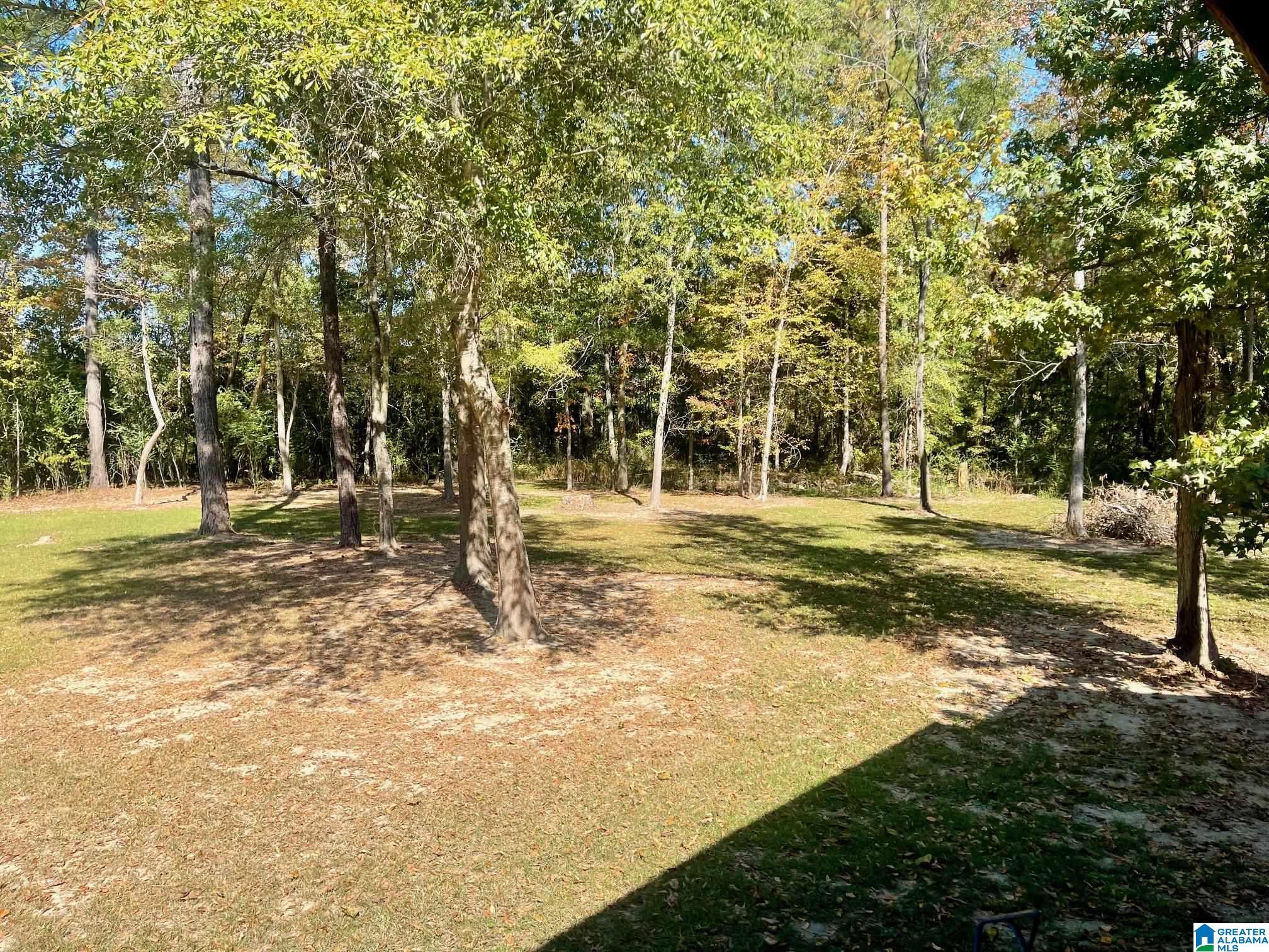 1840 County Road 2 Montevallo, AL 35115 - Photo 4 of 19
