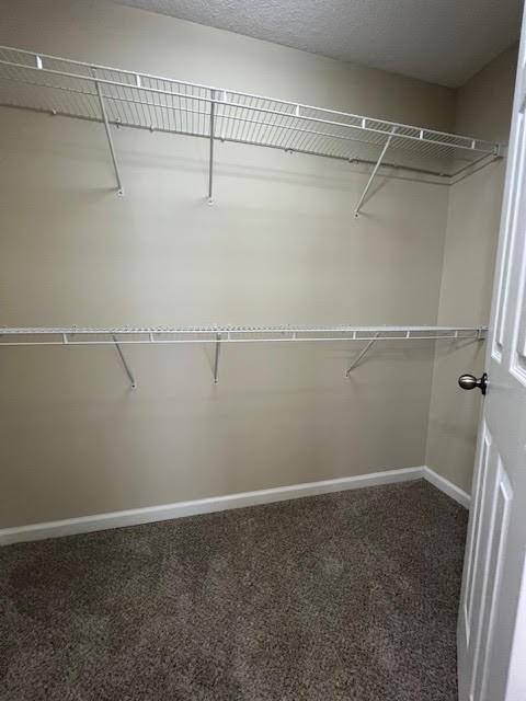 4901 Robinson Square Drive Acworth, GA 30101 - Photo 12 of 14