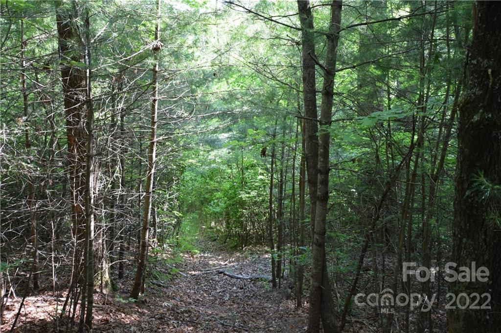 0 Thompson Road Spruce Pine, NC 28777 - Photo 12 of 19 Gallery Image 12
