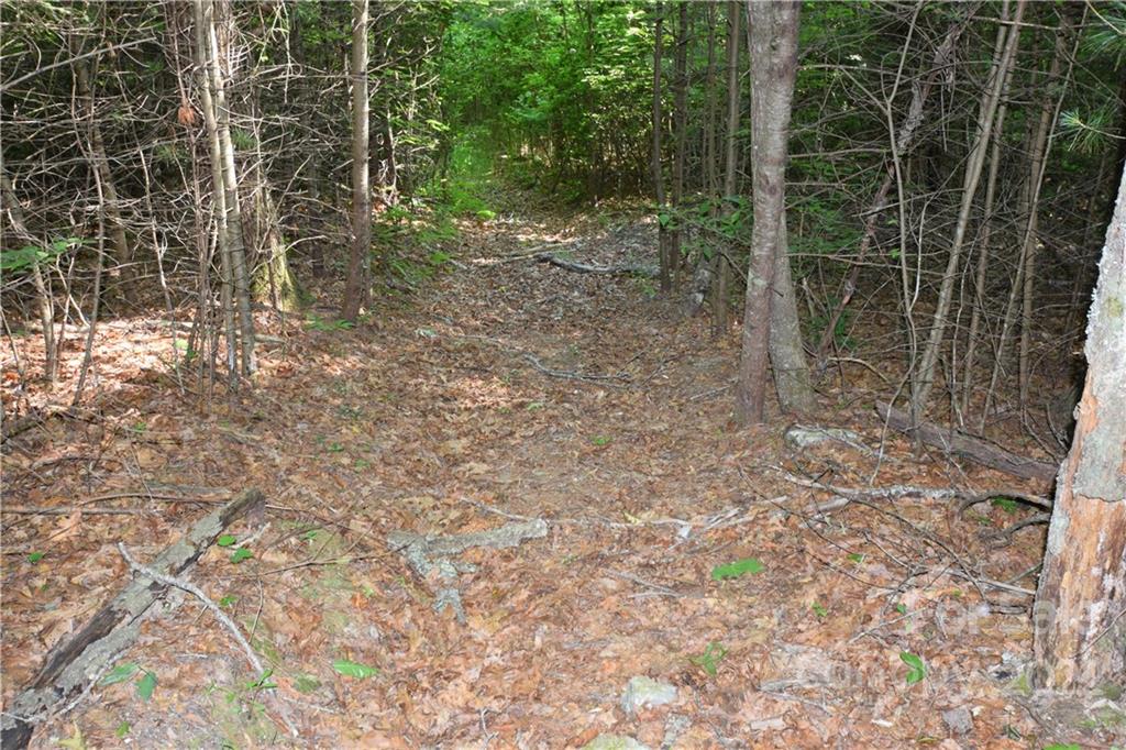 0 Thompson Road Spruce Pine, NC 28777 - Photo 13 of 19 Gallery Image 13