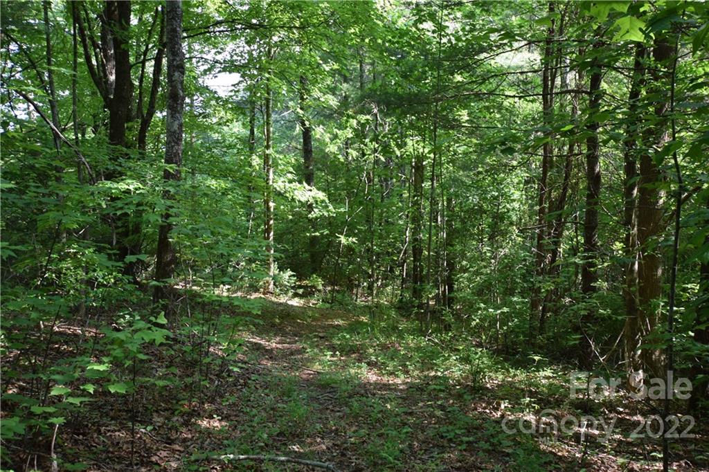 0 Thompson Road Spruce Pine, NC 28777 - Photo 15 of 19 Gallery Image 15