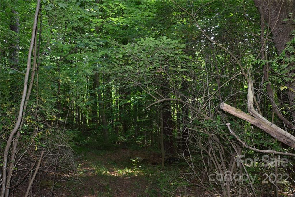 0 Thompson Road Spruce Pine, NC 28777 - Photo 16 of 19 Gallery Image 16