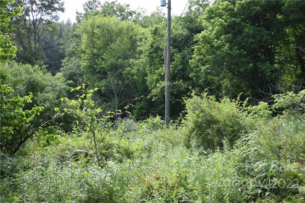 0 Thompson Road Spruce Pine, NC 28777 - Photo 18 of 19 Gallery Image 18