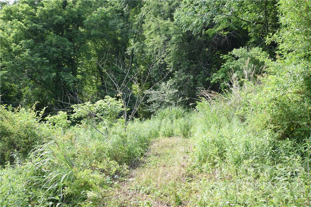 0 Thompson Road Spruce Pine, NC 28777 - Photo 19 of 19 Gallery Image 19