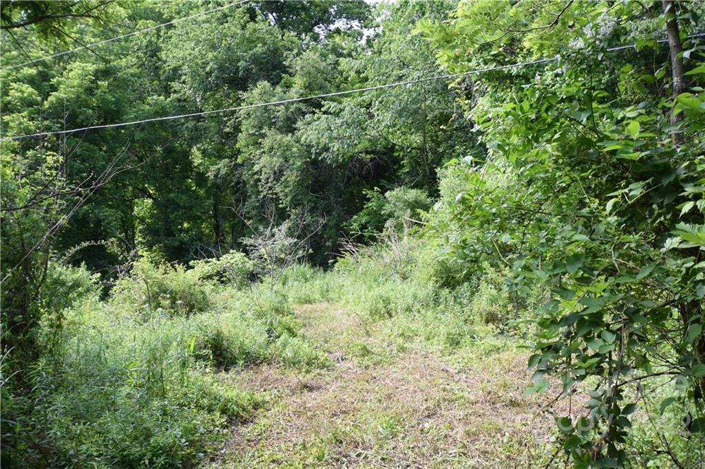0 Thompson Road Spruce Pine, NC 28777 - Photo 6 of 19 Gallery Image 6
