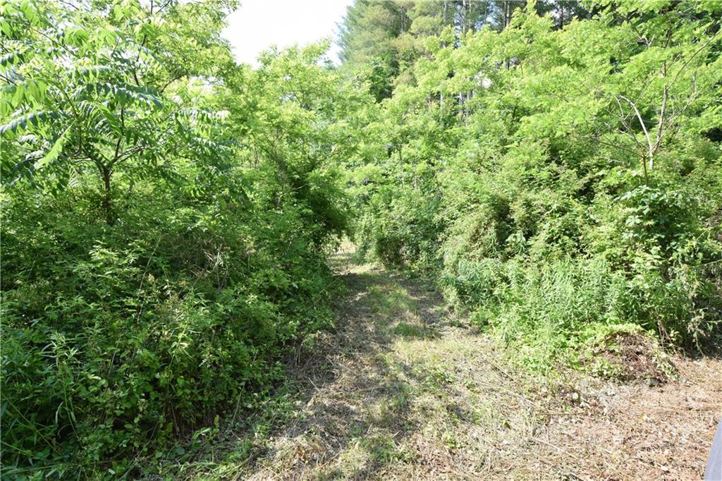0 Thompson Road Spruce Pine, NC 28777 - Photo 7 of 19 Gallery Image 7