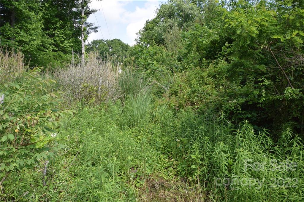 0 Thompson Road Spruce Pine, NC 28777 - Photo 8 of 19 Gallery Image 8