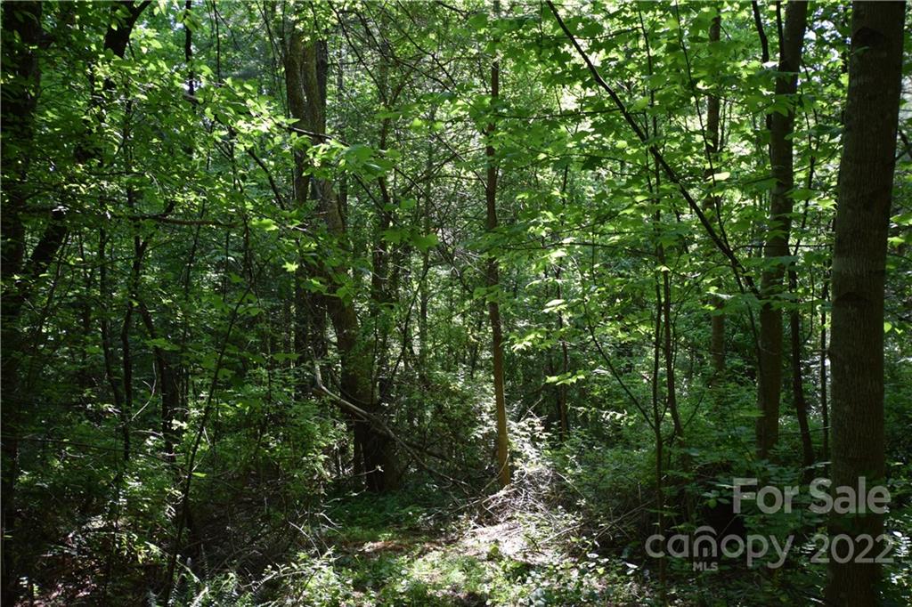 0 Thompson Road Spruce Pine, NC 28777 - Photo 9 of 19 Gallery Image 9